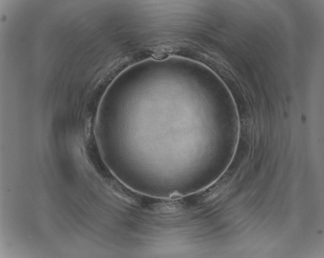 X0000072940652200607211103