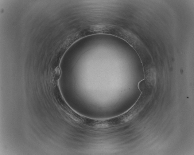 X0000072940653200607211103