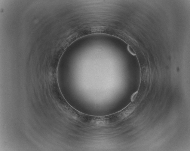 X0000072940655200607211103