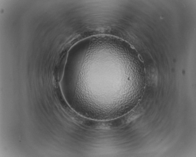 X0000072940656200607211103