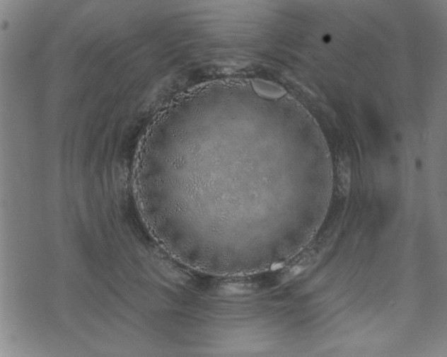 X0000072940657200607211103