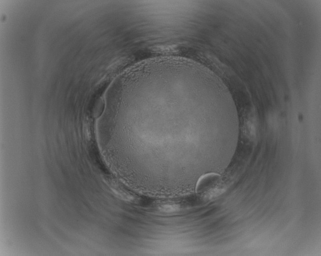 X0000072940658200607211103