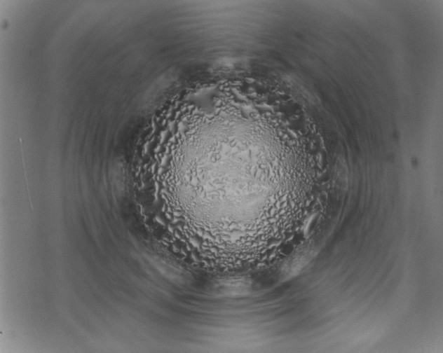 X0000072940659200607211103