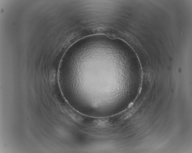 X0000072940660200607211103