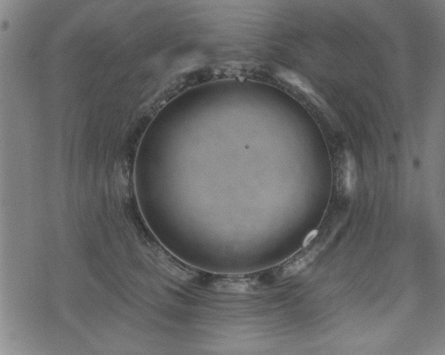 X0000072940661200607211103