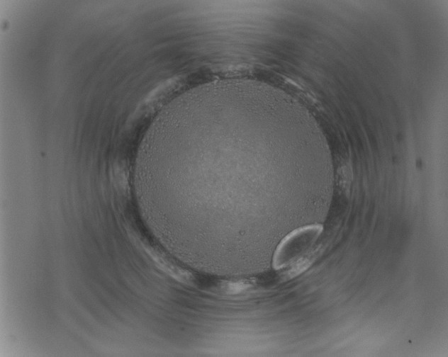 X0000072940662200607211103