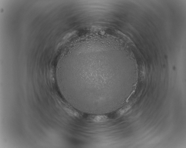 X0000072940663200607211103