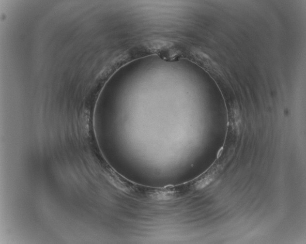 X0000072940664200607211103