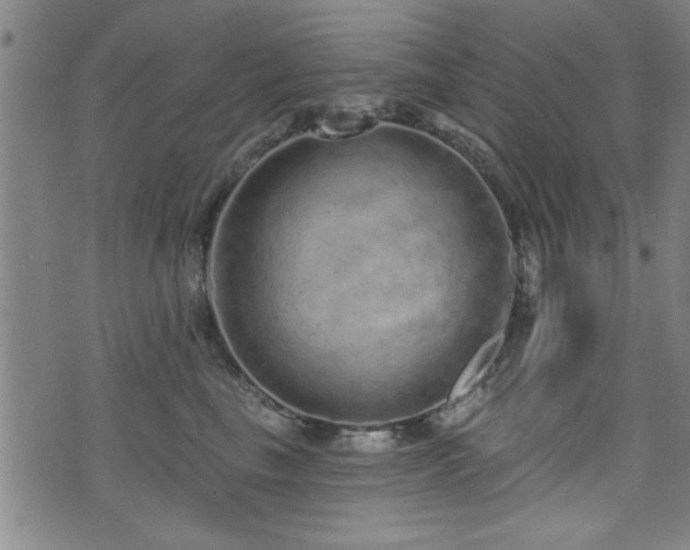 X0000072940665200607211103