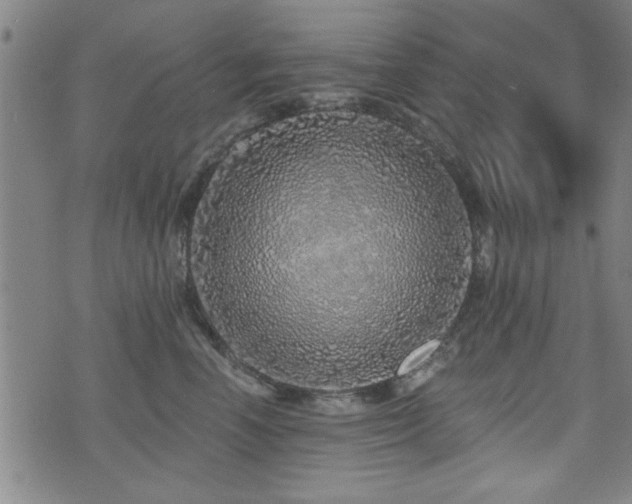 X0000072940666200607211103