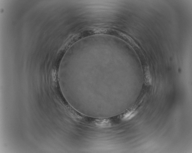 X0000072940667200607211103