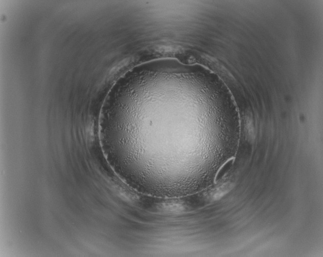 X0000072940668200607211103