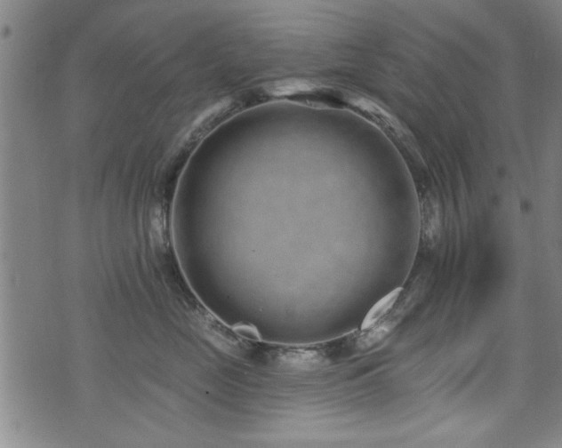 X0000072940669200607211103