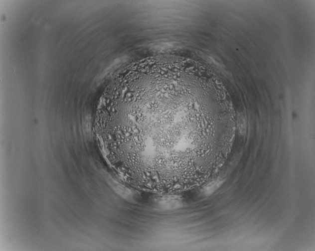 X0000072940670200607211103