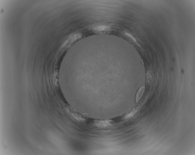 X0000072940671200607211103