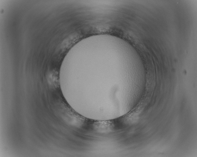 X0000072940672200607211103