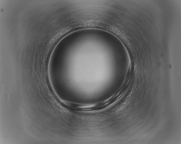 X0000072940673200607211102