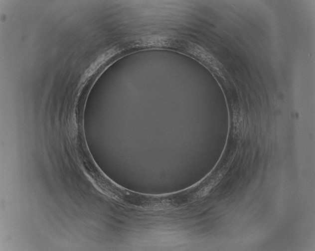 X0000072940674200607211102