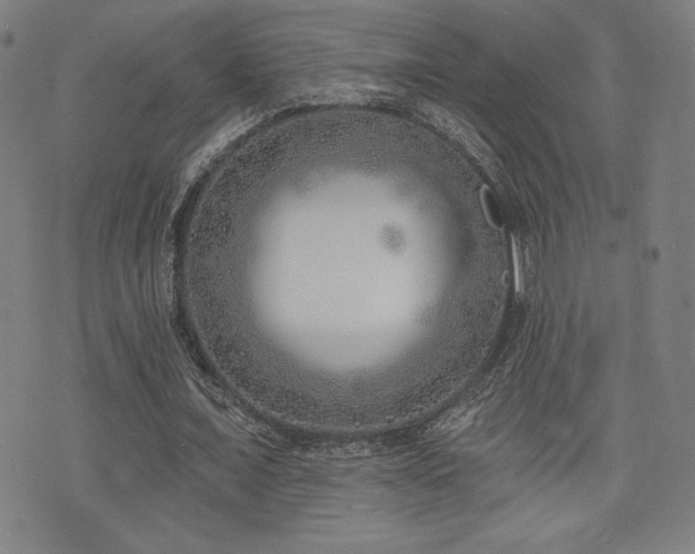 X0000072940675200607211102