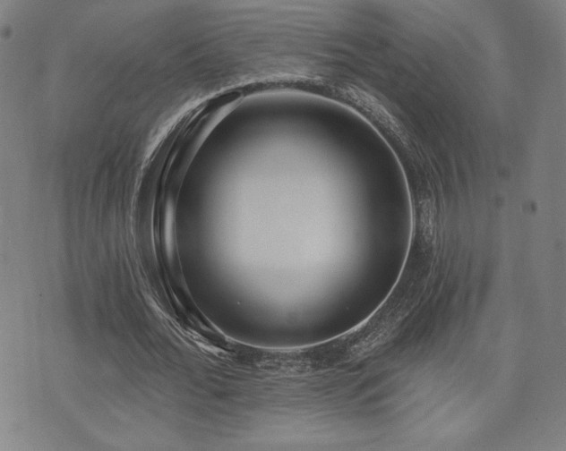 X0000072940676200607211102