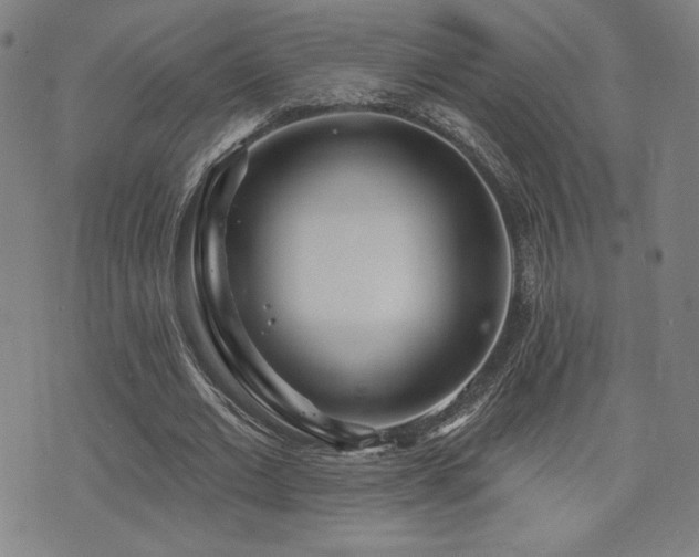 X0000072940677200607211102