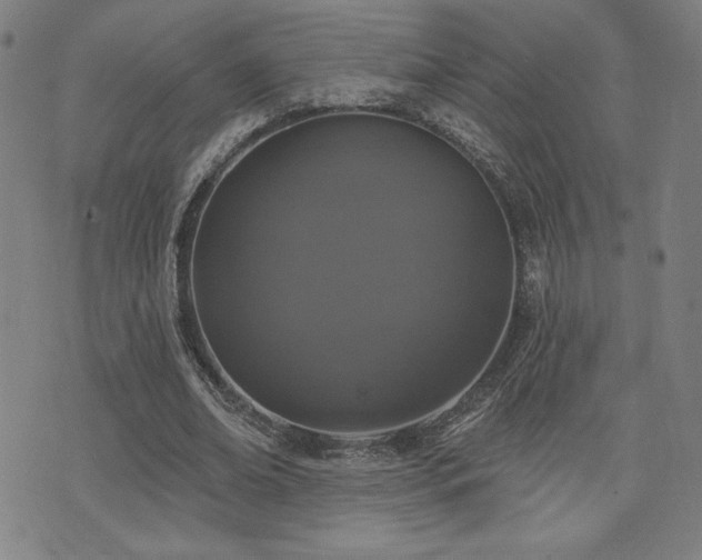 X0000072940678200607211102