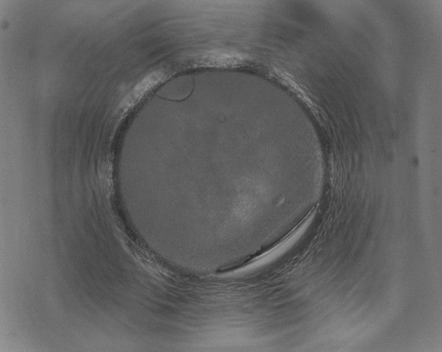 X0000072940679200607211102