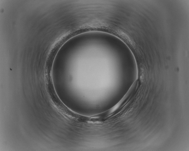 X0000072940680200607211102