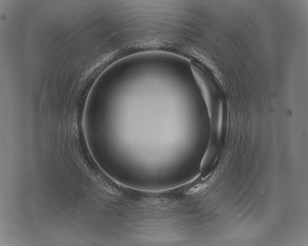 X0000072940681200607211102