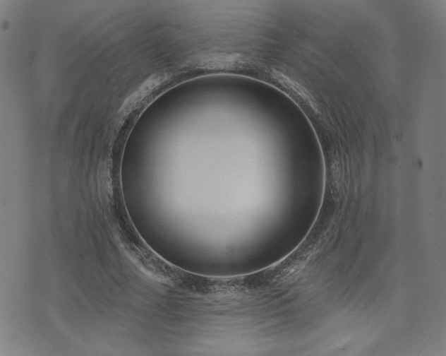 X0000072940682200607211102