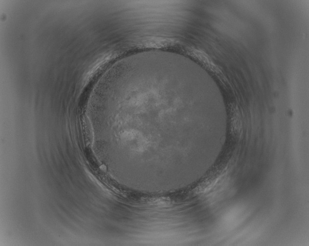 X0000072940683200607211102