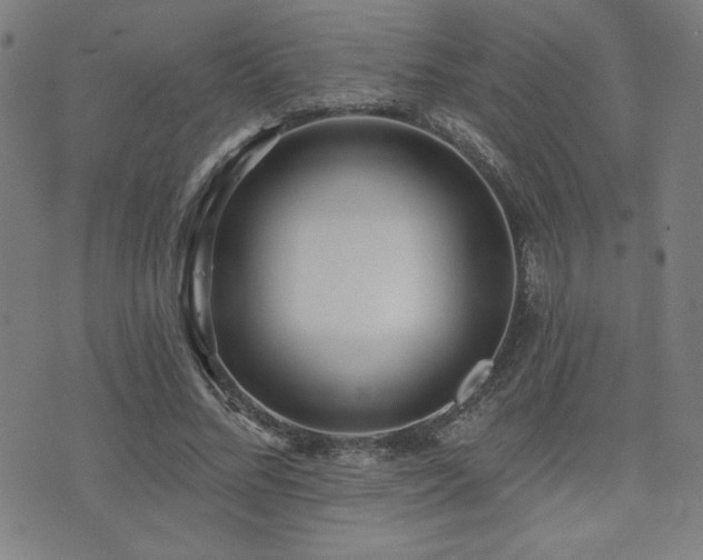 X0000072940684200607211102