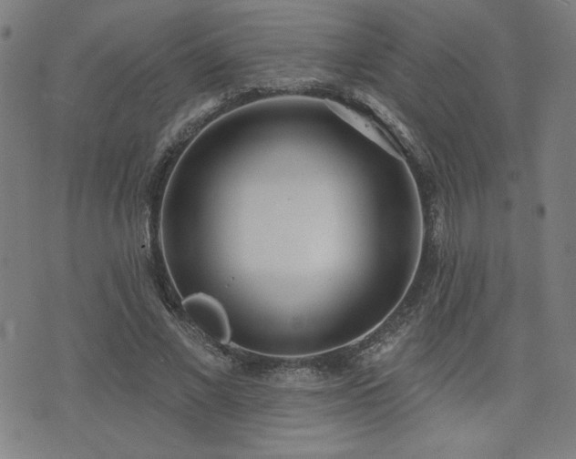 X0000072940685200607211102