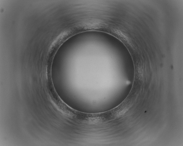 X0000072940686200607211102