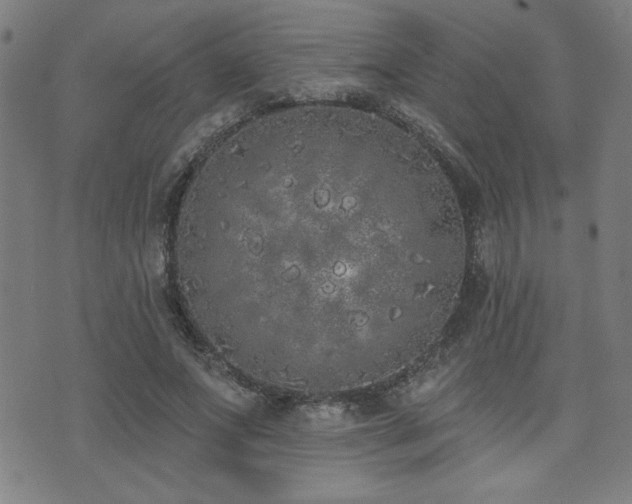 X0000072940687200607211102