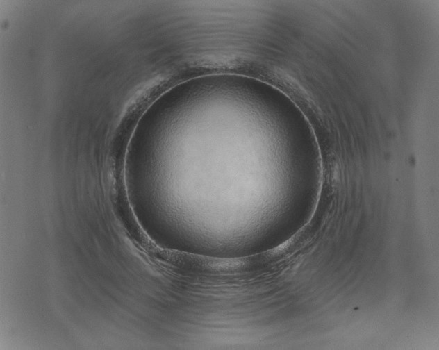 X0000072940688200607211102