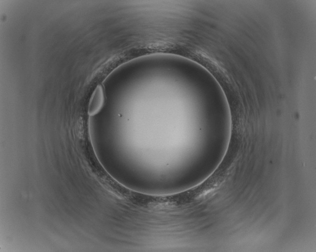 X0000072940689200607211102