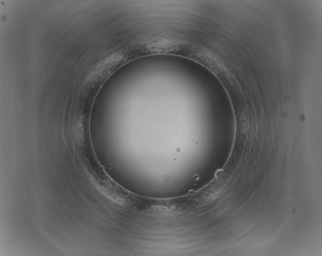 X0000072940690200607211102