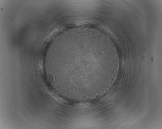 X0000072940691200607211102