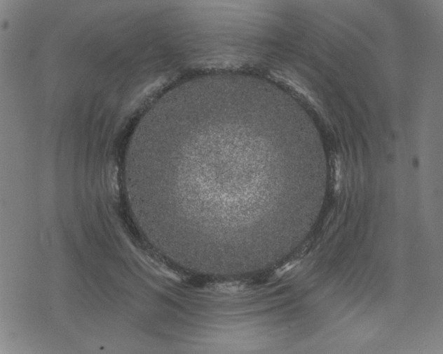 X0000072940692200607211102