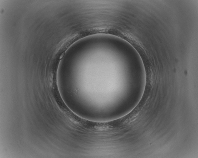 X0000072940693200607211102