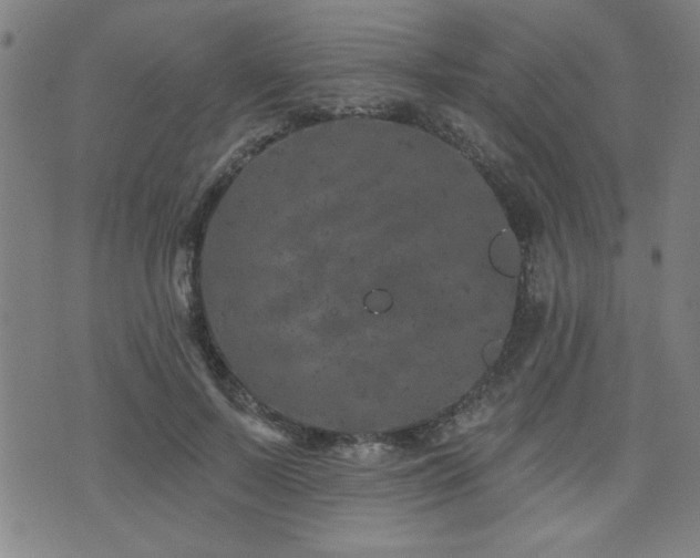 X0000072940695200607211102