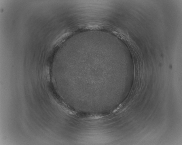 X0000072940696200607211102