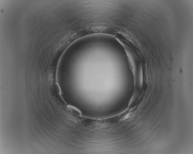 X0000072940697200607211102