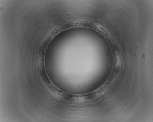 X0000072940698200607211102