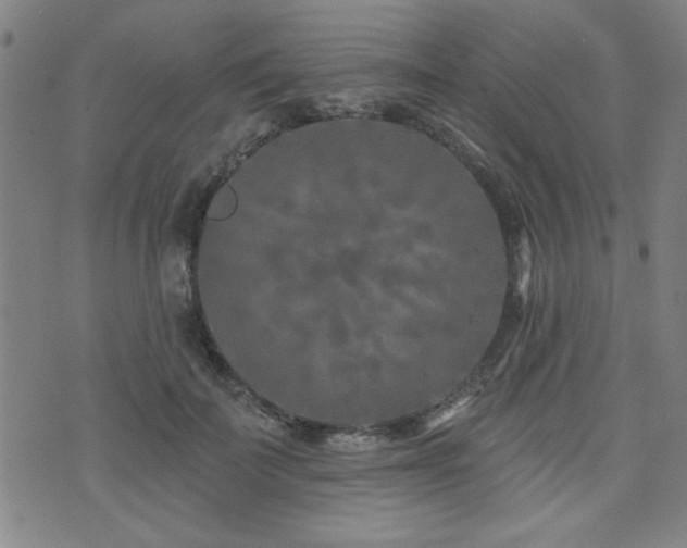 X0000072940699200607211102