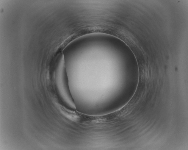 X0000072940700200607211102