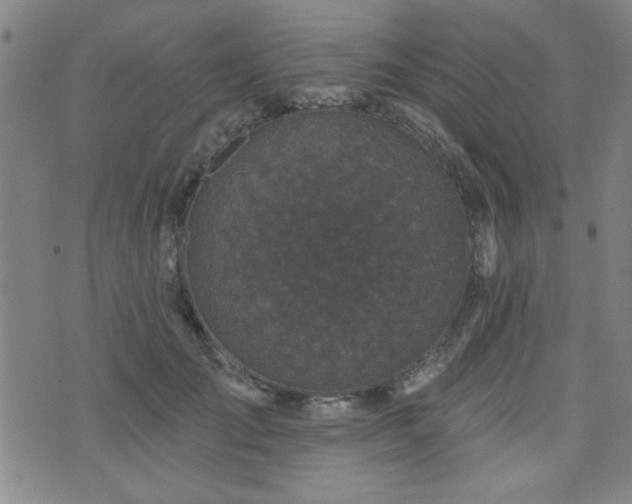 X0000072940701200607211102