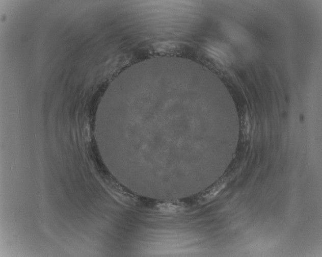 X0000072940703200607211102