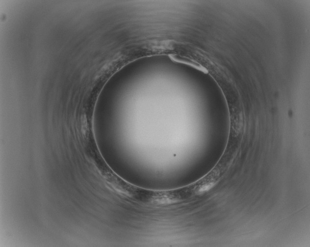 X0000072940704200607211102